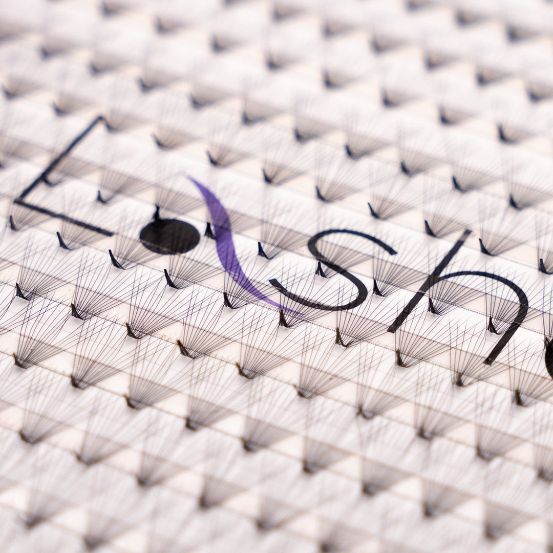 Save Time With Lashee Pro Made Lash Fans